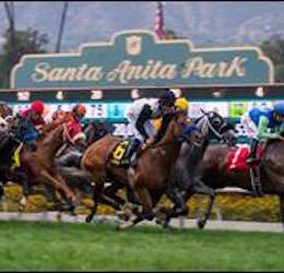 Santa Anita Park