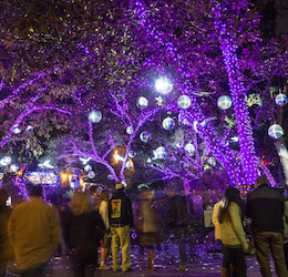 L.A. Zoo Lights photo by Jamie Pham