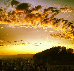 Barnsdall Fridays Wine Tasting