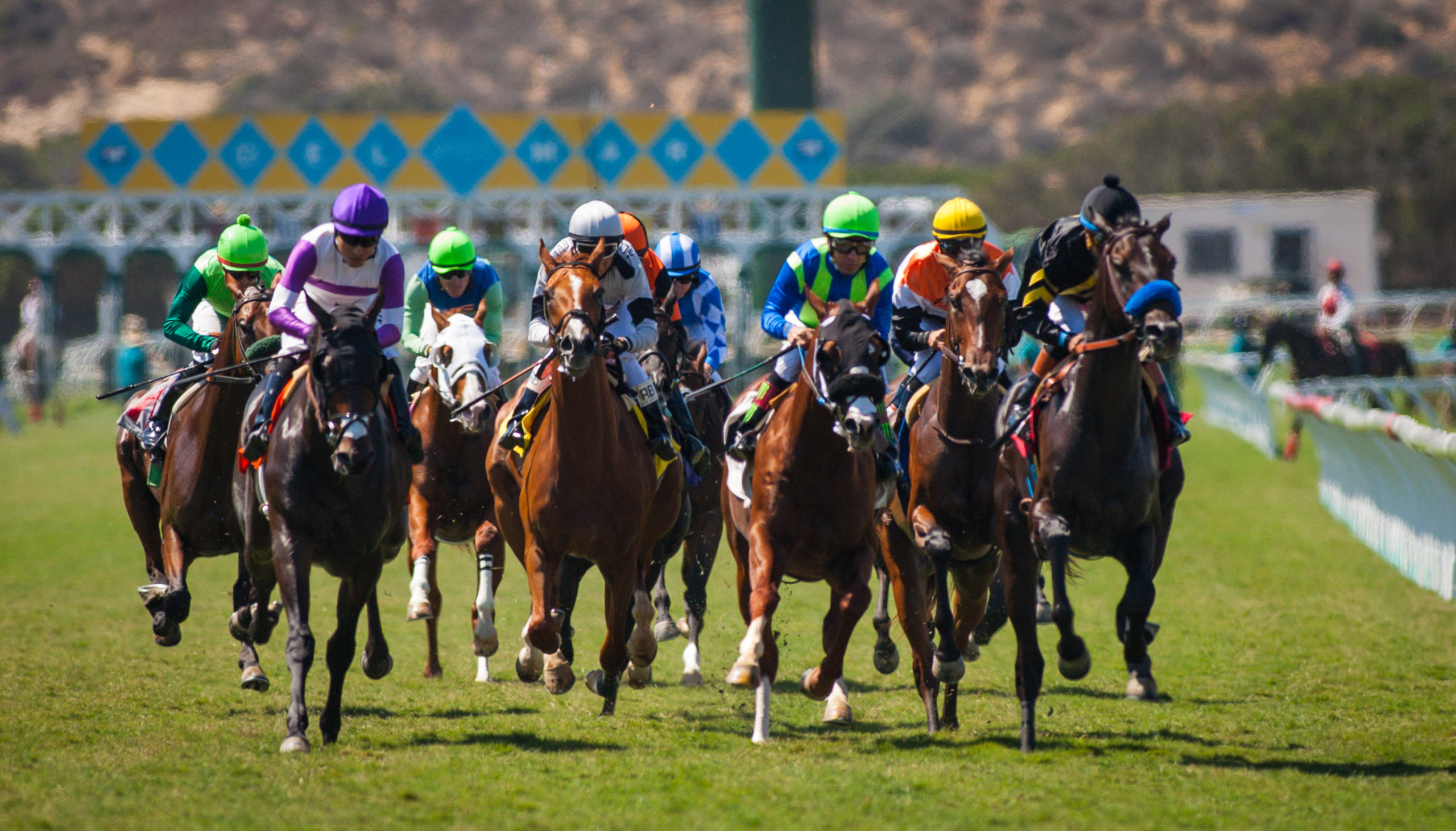 Head to Del Mar for a season of racing, with highlights including the renowned Breeders' Cup and Turf Club Sundays. 