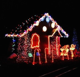 Holiday Lights Train Ride