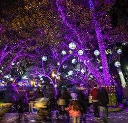 L.A. Zoo Lights