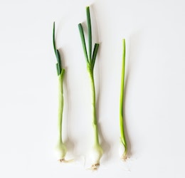 Green onions photo by Laura Mitulla via Unsplash