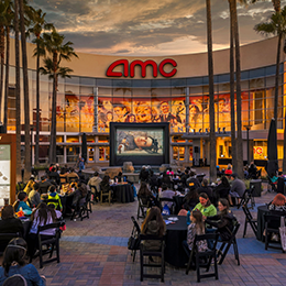 Movies on the Promenade at The District photo by Rich Mora