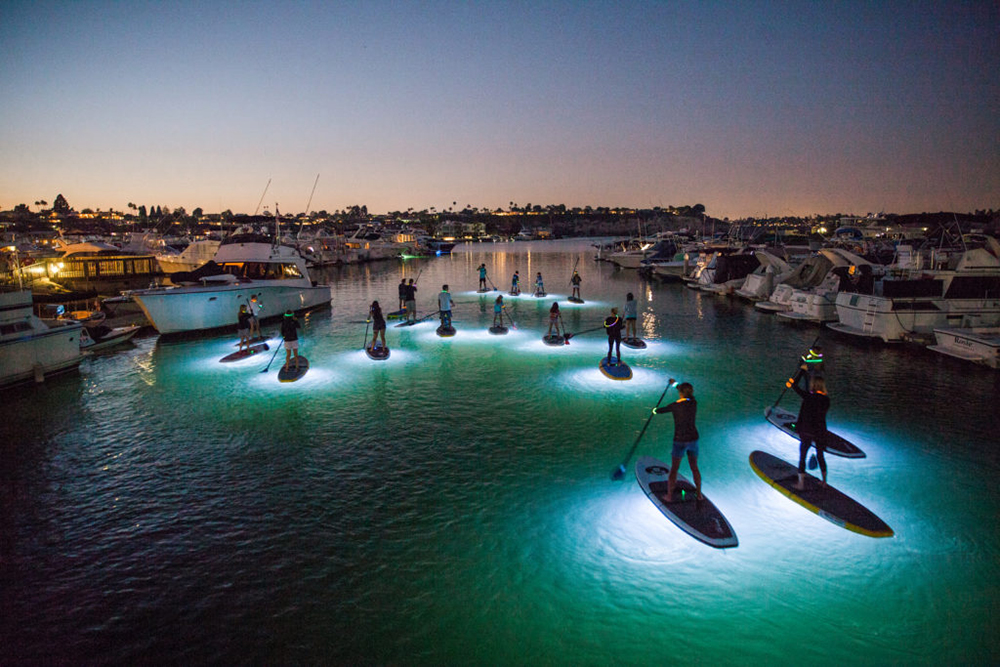 SUP Glow Night Tours Pirate Coast Paddling