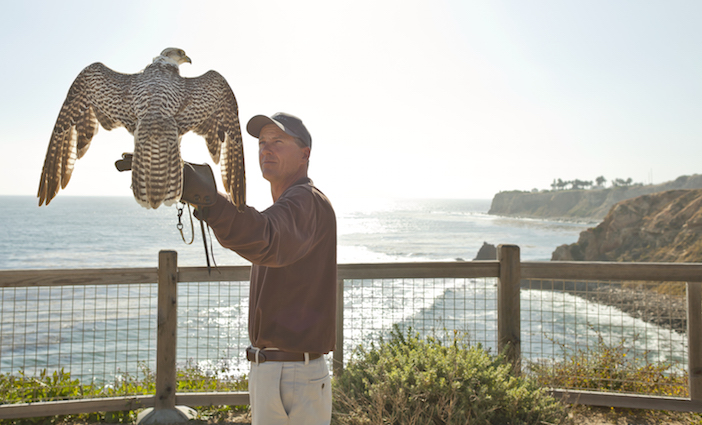 Terranea Resort | Attractions in Los Angeles