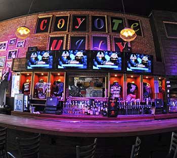 coyote-ugly