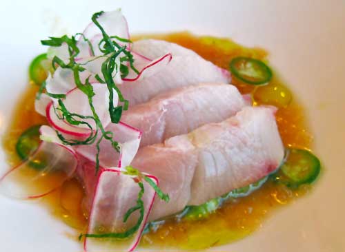 hamachi