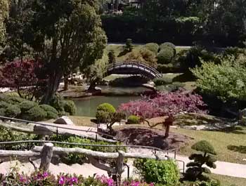 huntington-japanese-gardens
