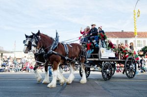 la-jolla-parade2