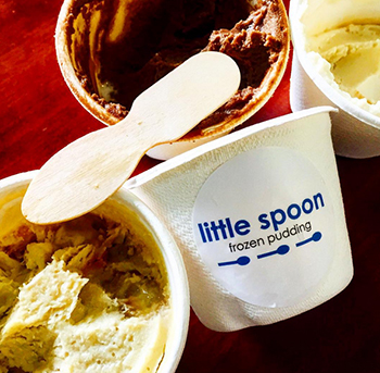 little spoon frozen pudding
