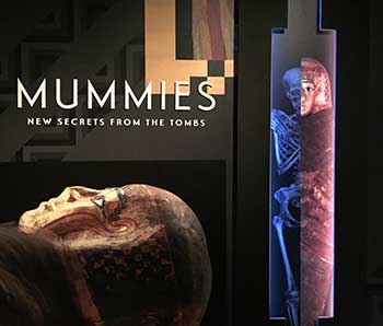 Mummies: New Secrets From the Tombs
