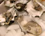 oyster-fair