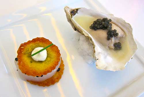 oyster-scallop