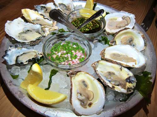 oysters