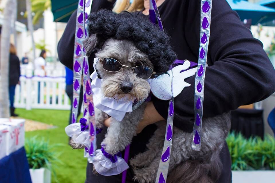 Guests and their furry companions will enjoy the Paws on the Patio event, featuring a dog costume contest and dog-friendly craft beer. 