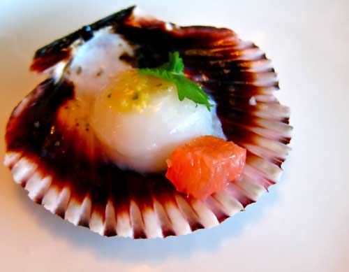 peruvian-scallop