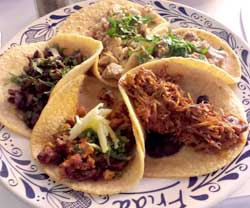 taco-sampler