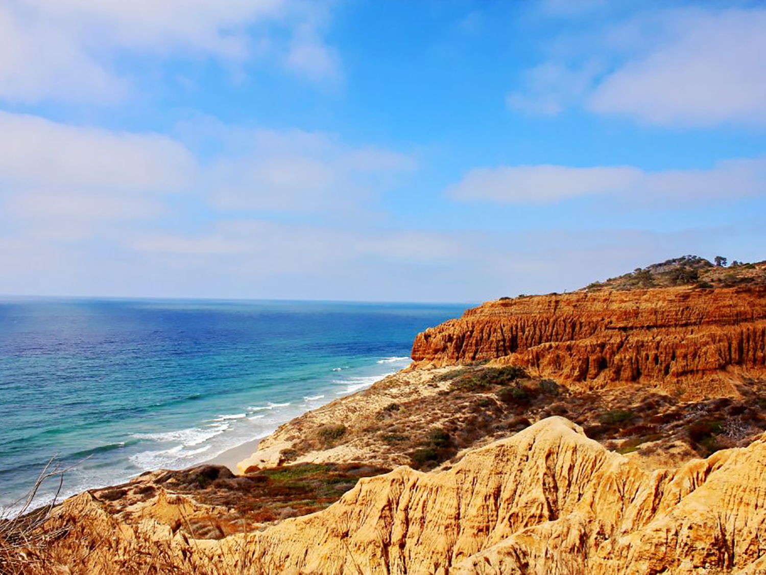 Scenic San Diego Hikes for Every Speed | SoCal Pulse