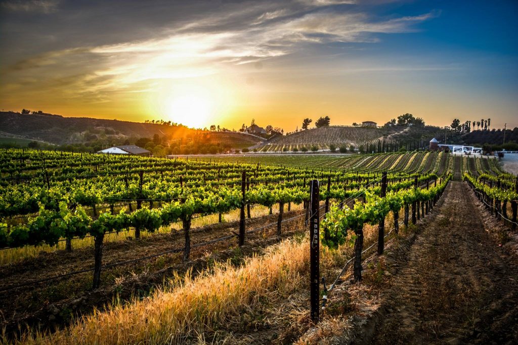 temecula wine country