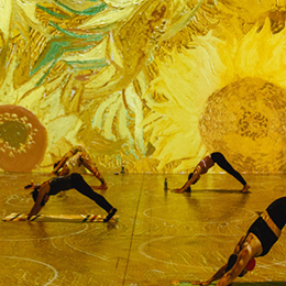Gogh with Lifeway Kefir Immersive Yoga class photo courtesy Immersive Van Gogh Los Angeles