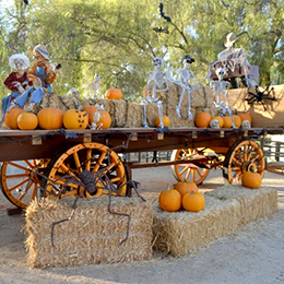 One of the photo opps available during Fall-O-Ween at Heritage Hill Historical Park photo courtesy OC Parks