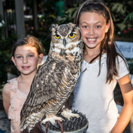 Two kids with an owl at Sherman Library & Gardens' Creatures of the Night event photo courtesy Sherman Library & Gardens