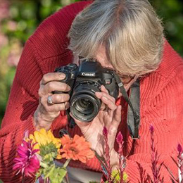 A person taking a close-up photo of flowers photo courtesy Sherman Library & Gardens