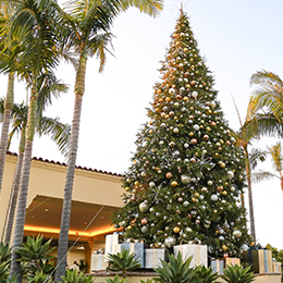 The Ritz-Carlton Laguna Niguel's front drive featuring a tall Christmas tree photo courtesy The Ritz-Carlton, Laguna Niguel