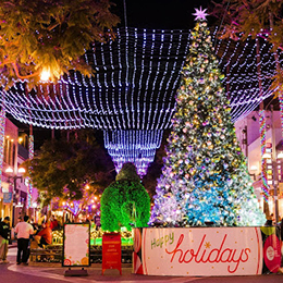 The official City of Santa Monica 24-foot-tall holiday tree at Third Street Promenade_photo courtesy Downtown Santa Monica, Inc