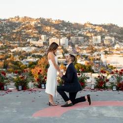 Wedding Proposal at the Sofitel Helipad.