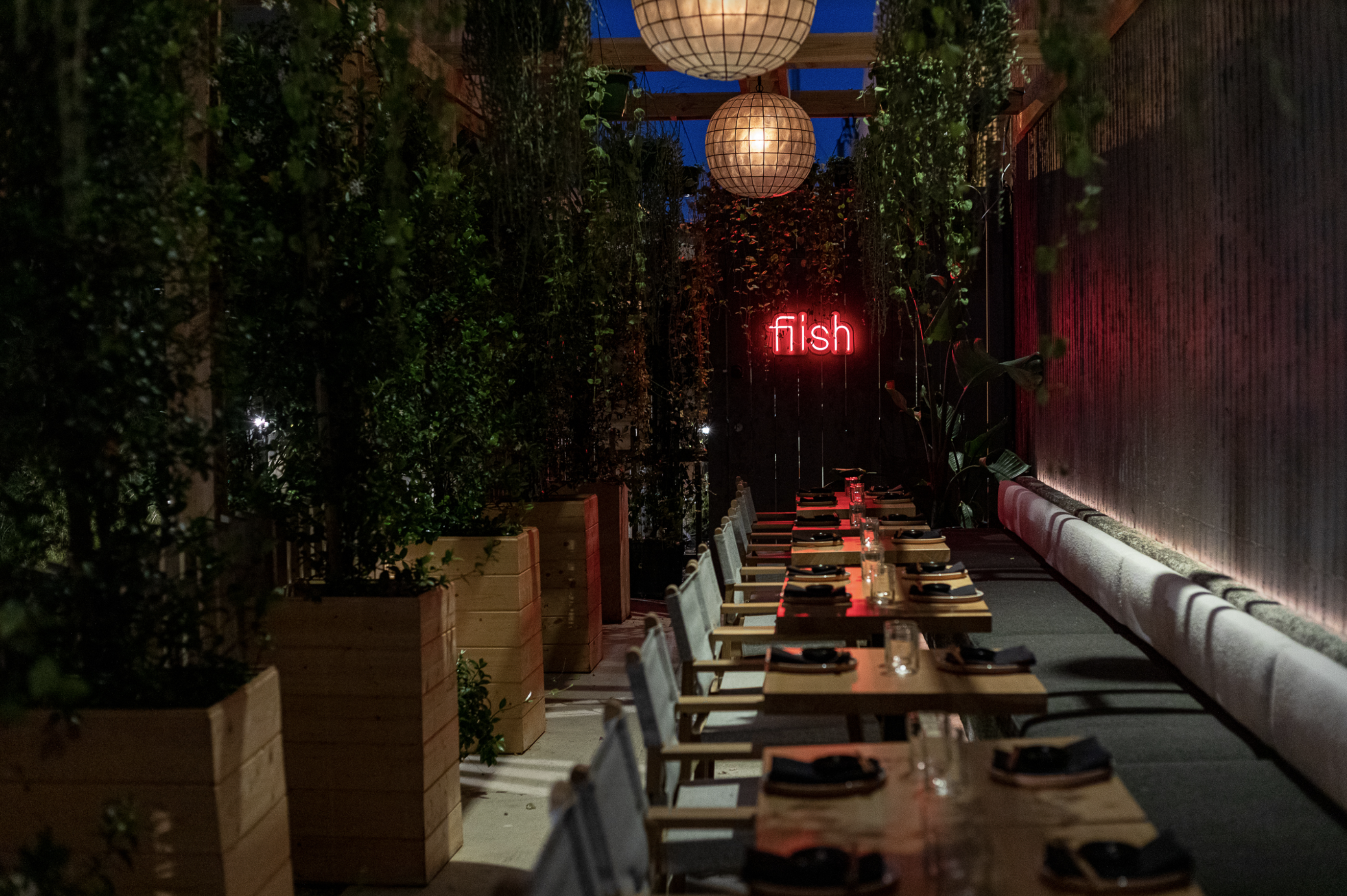 Fiish, New Sustainable Restaurant