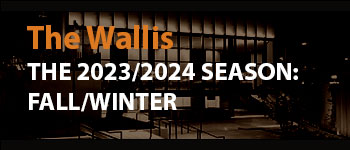 Wallis Fall Winter Banner