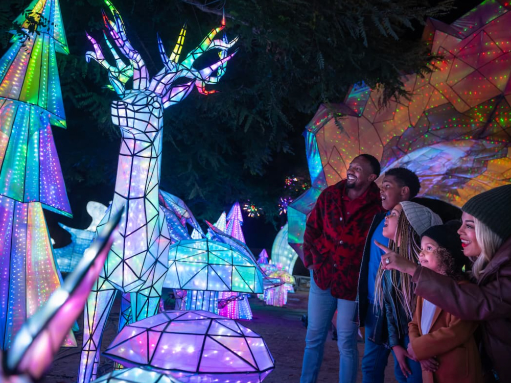 L.A. Zoo welcomes "Animals Aglow," celebration of it's wildlife