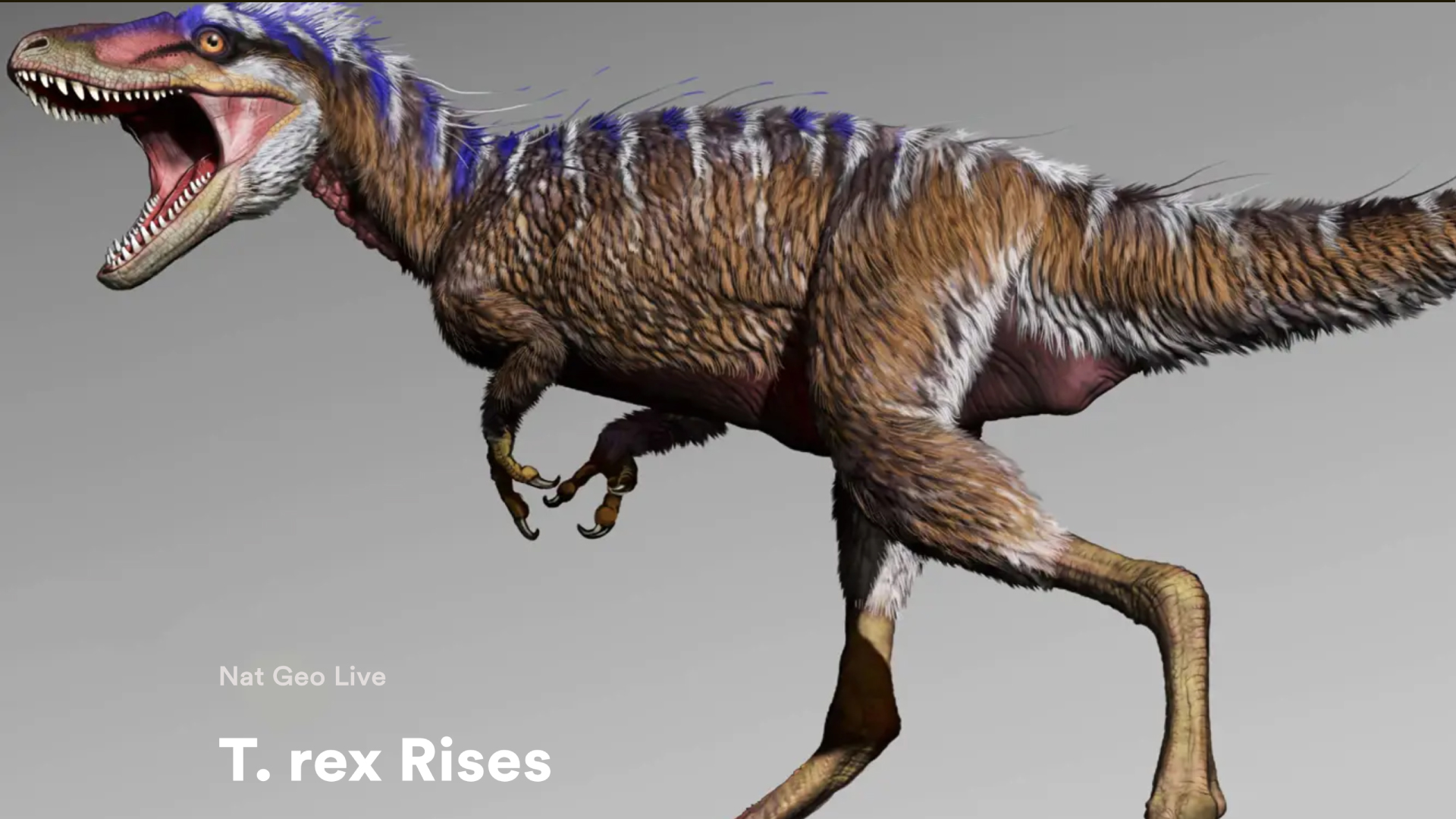 Nat Geo Live: Rise of T. Rex