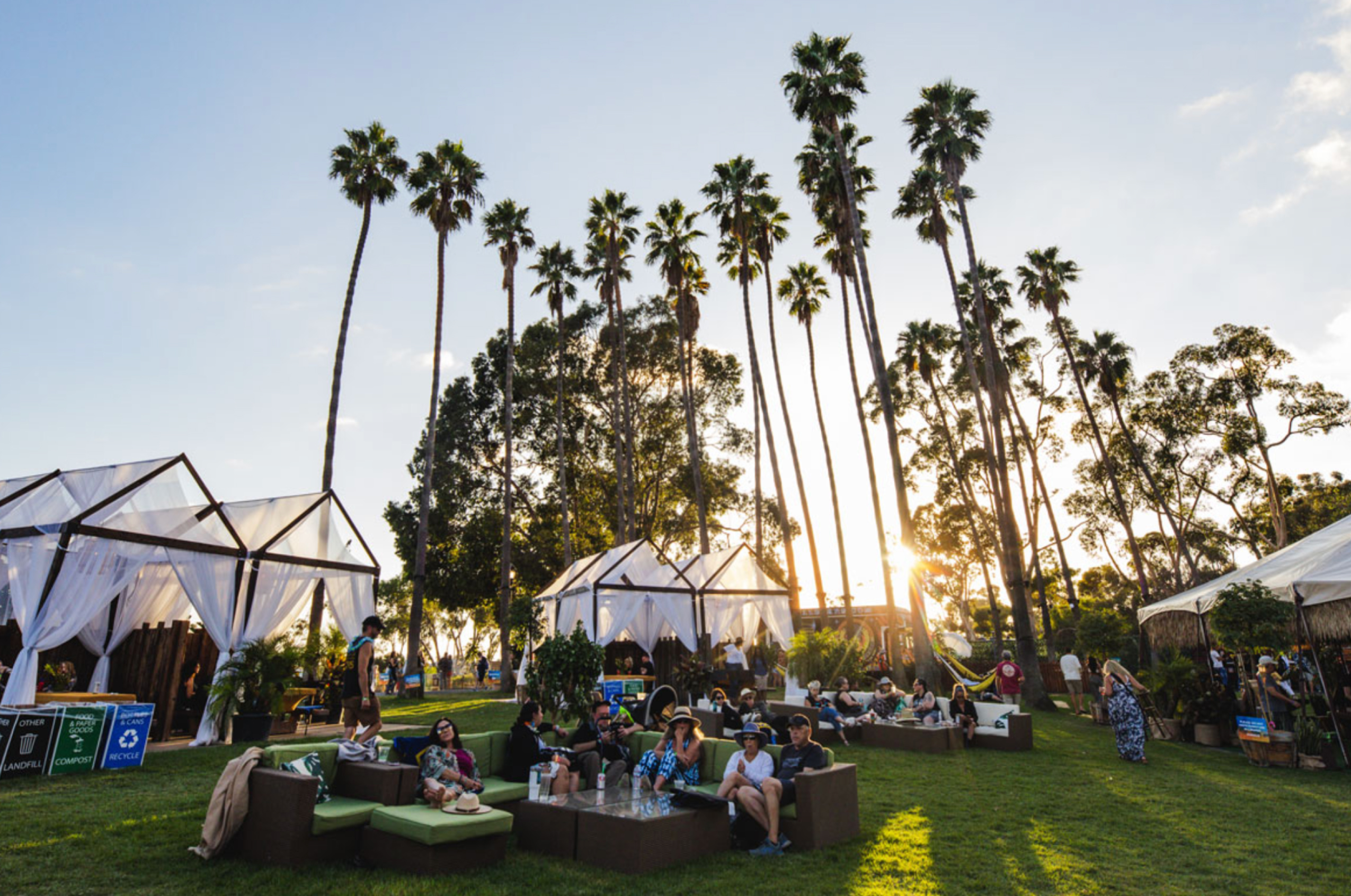 outdoor event under palm trees