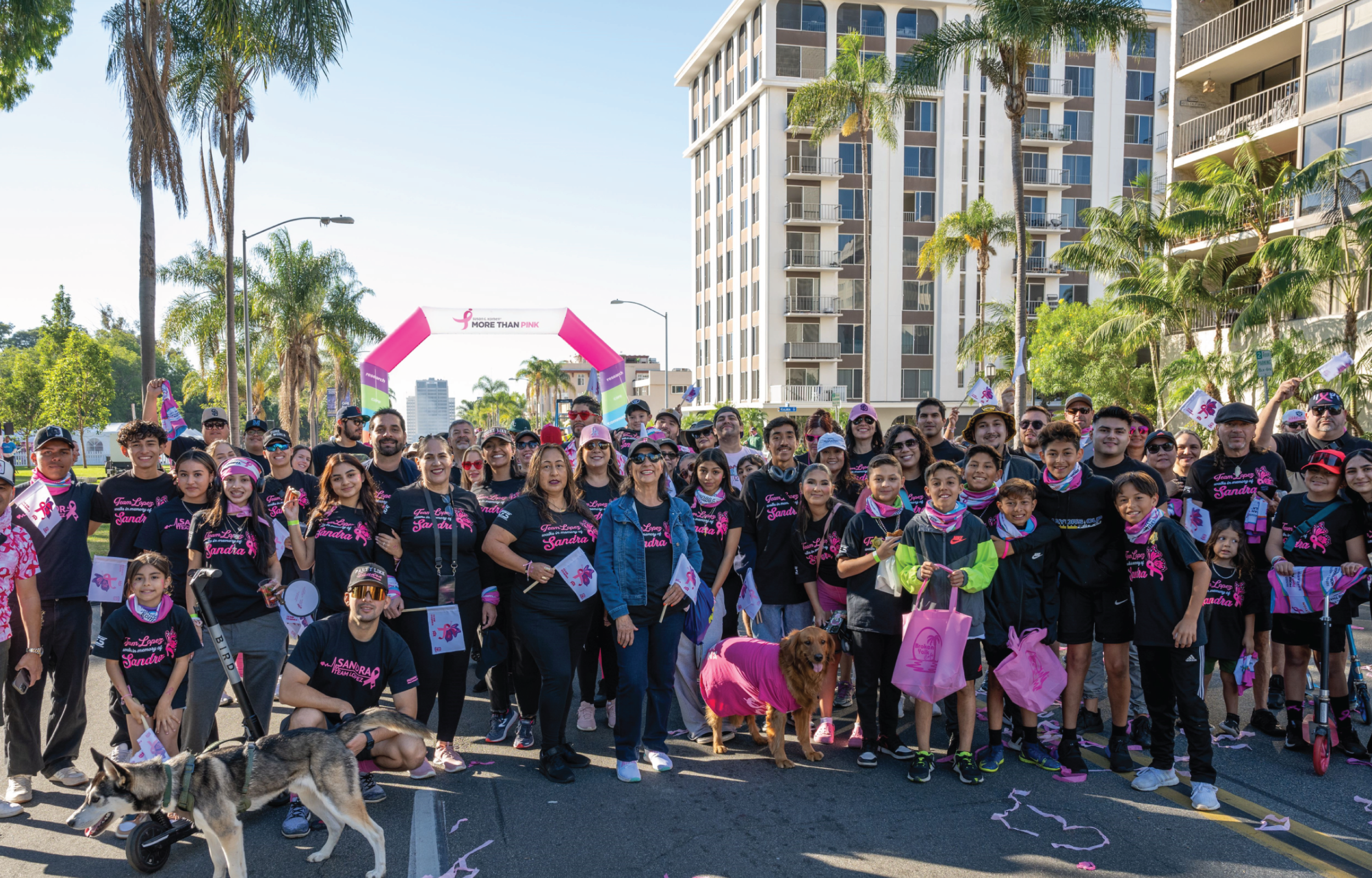 walk for breast cancer research