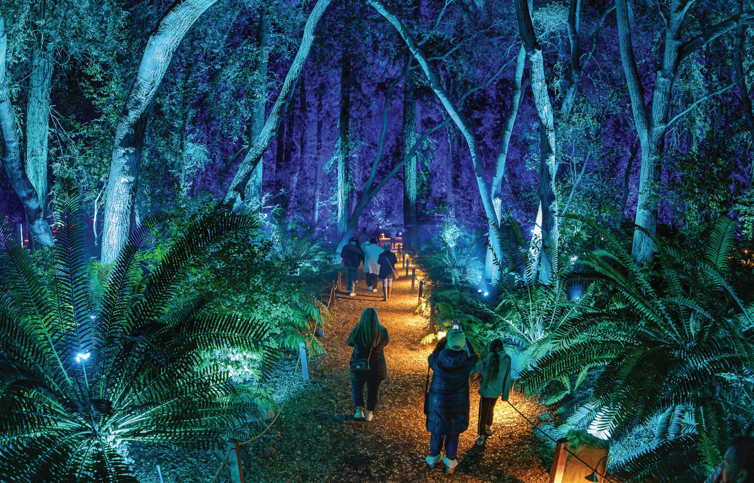 Descanso Garden's Ancient Forest of Lights