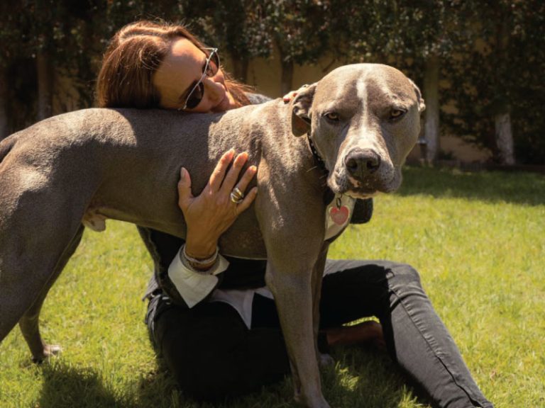 Much Love Animal Rescue