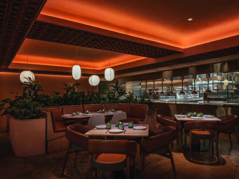 Interior of Casa Dani Restaurant. It is a relaxed ambiance setting, Earth-toned walls, planters woven into plush banquettes, and a curved green-tiled fireplace.