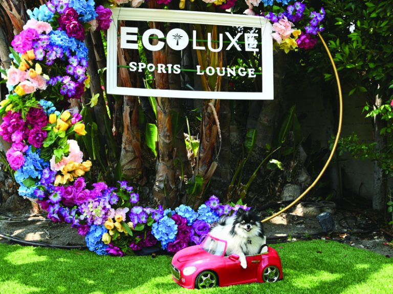 Ecoluxe sports lounge