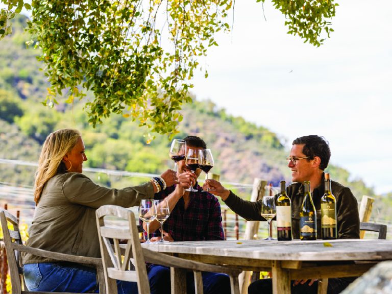 people enjoying wine outdoors