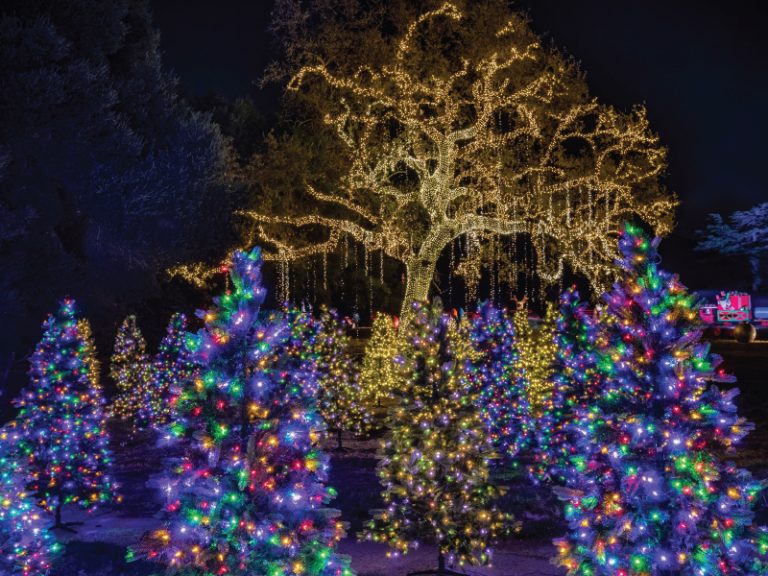 trees with lights at the 5. Holiday Road at King Gillette Ranch