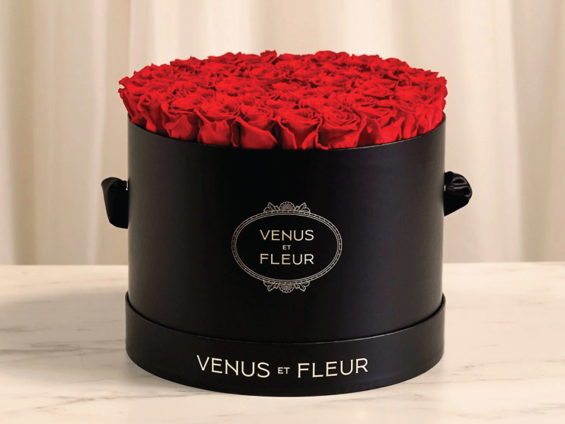 Venus et Fleur Pop Up