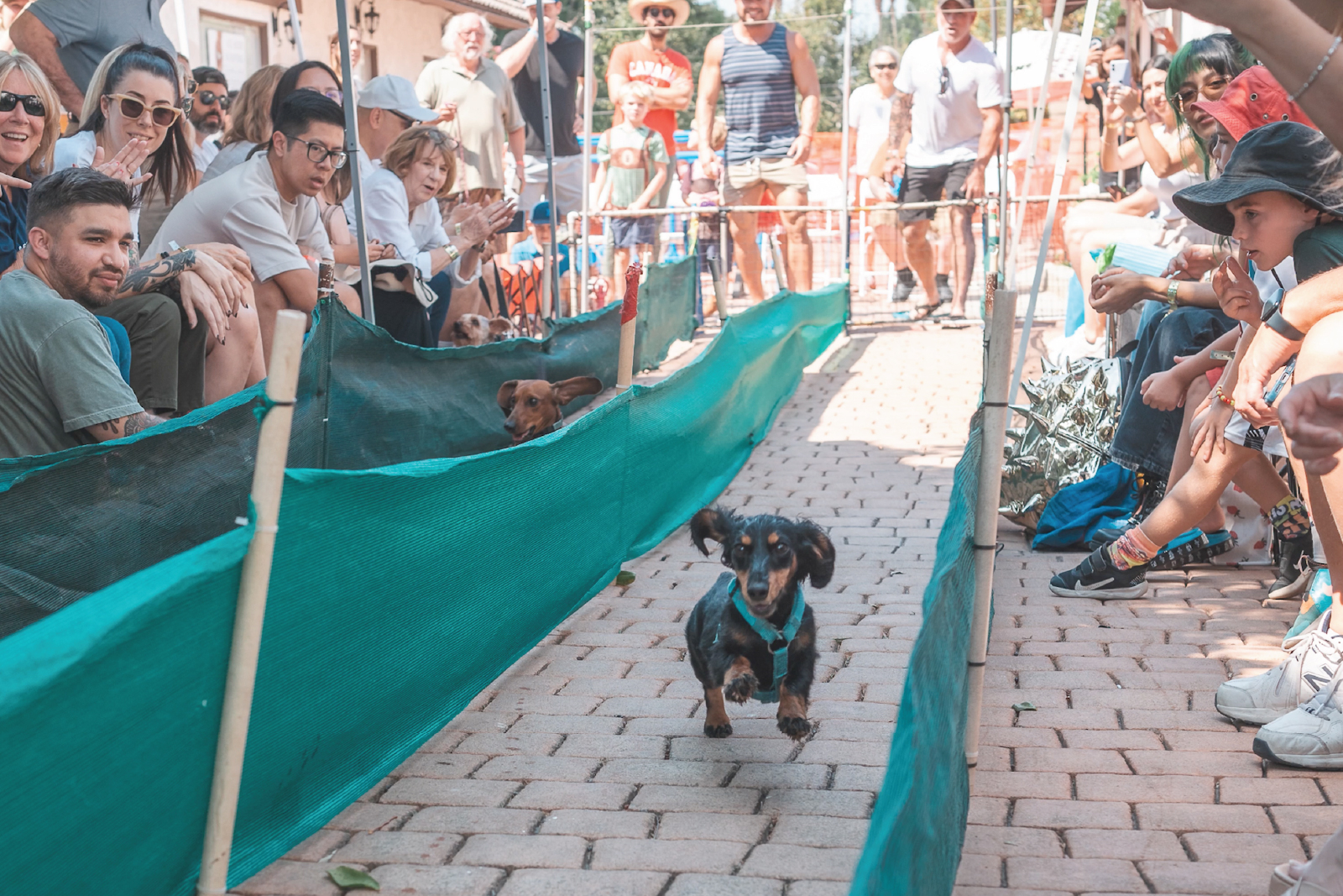 OC WINE & SPIRIT FEST St. Patrick's Celebration